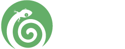 Web Design Services & Digital Solutions for Tanzania